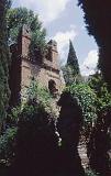 219-Ninfa,giugno 1989
